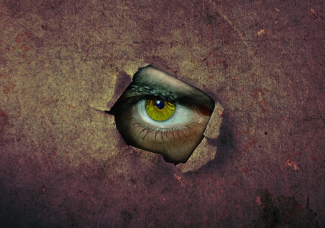 oko za dírou.jpg